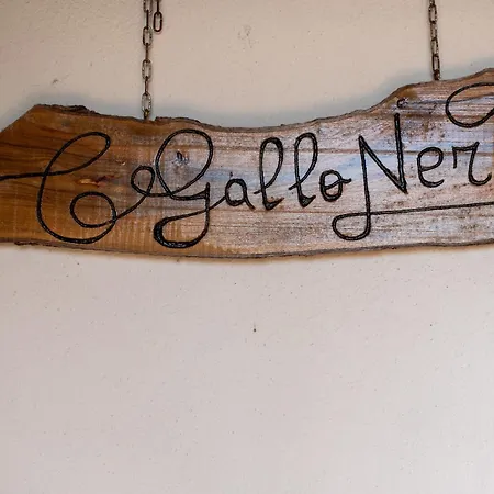 Apartment Gallo Nero *